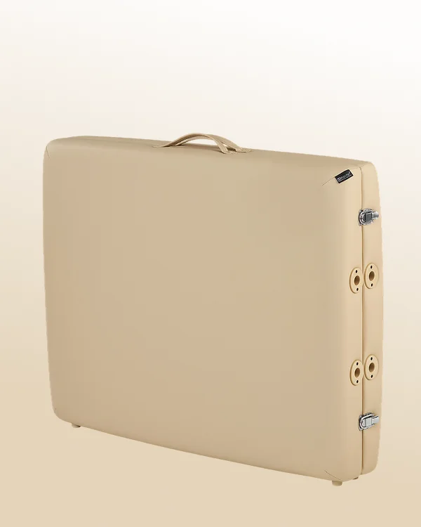 Складывается в удобный
и эстетичный кейс